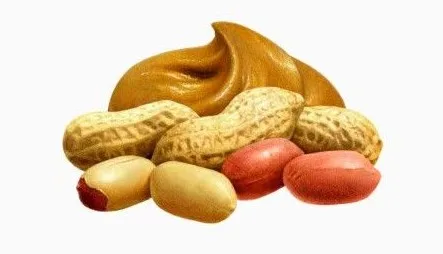 Бытовая Машина для изготовления арахисового масла машина Производства