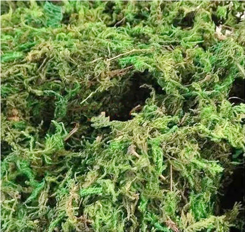 30 г/пакет, сохраняющий сухость, настоящий зеленый мох, декоративная ваза для растений, искусственный дерн, Шелковый цветок, аксессуары для украшения цветочного горшка