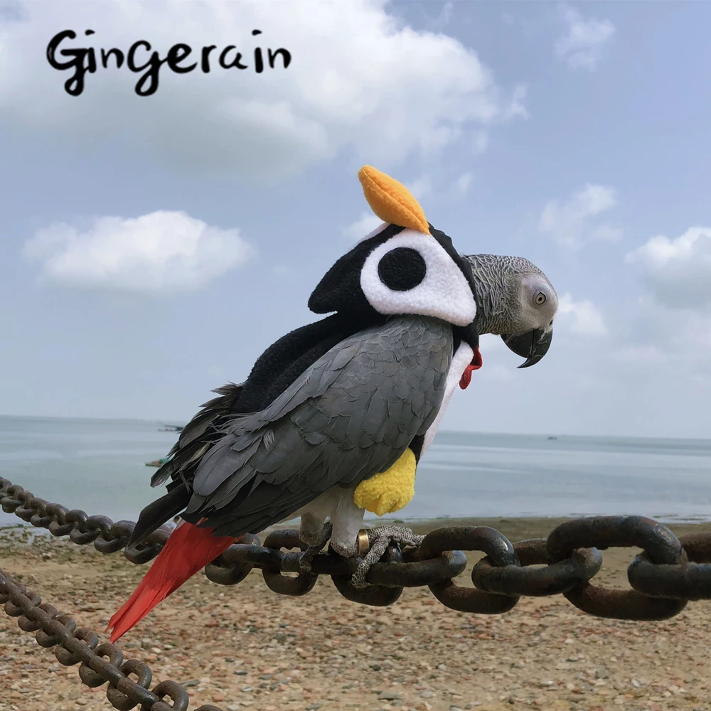 Gingerain Bird clothes Parrot q guy original hand-made custom bird Hooded Sweater White cloud roll | Дом и сад
