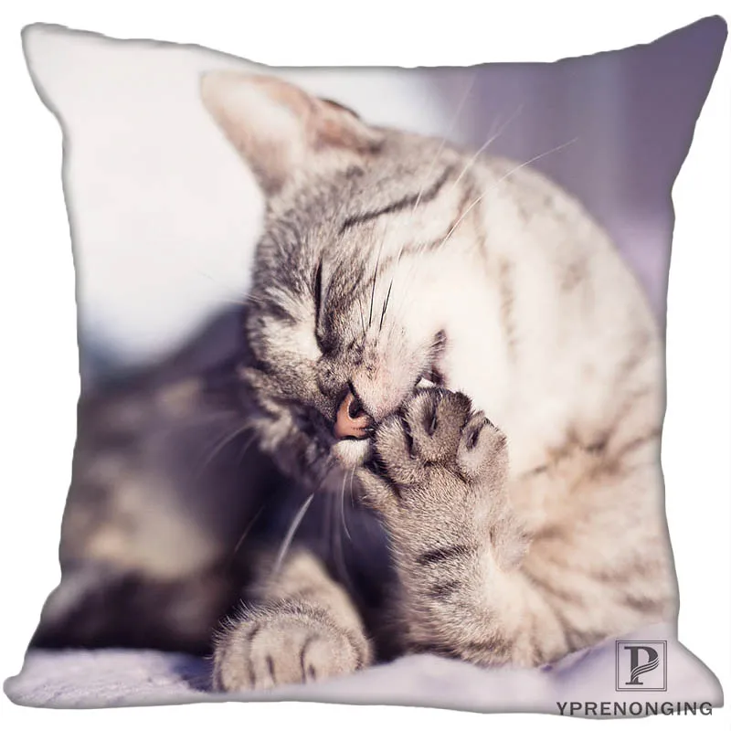 Custom Decorative Pillowcase Cats Kitten Rain Square Zippered Pillow Cover(One Side)80527-21-03
