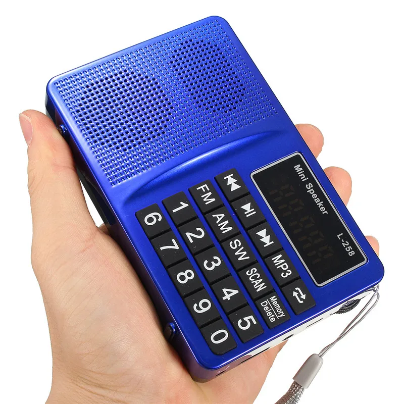 LEORY L-258 TF FM/AM/SW Многополосный Радио динамик 220 В 800 мАч MP3 радио приемник AUX USB автопоиск радио плеер