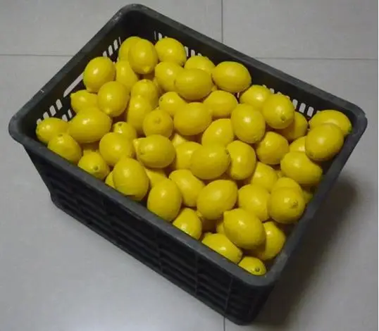 Бесплатная доставка! 2 шт./лот резиновый лимон-волшебный трюк сценическая магия