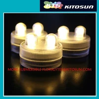FREE SHIPPING FACTORY SUPPLIRE SUPER Bright WARM WHITE DOUBLE LED Submersible Floralyte For Party Wedding Tea Light