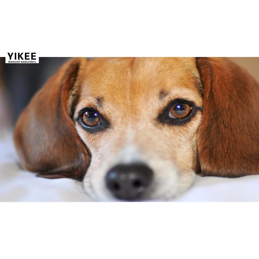 

YIKEE diamond embroidery dog sale Diamond Embroidery Full Square Rhinestones Cross Stitch DIY Diamonds Mosaic k49