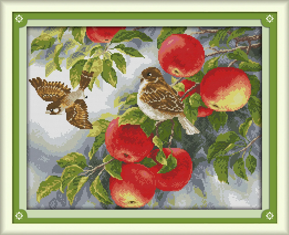 

Birds and apples stitch kit aida 14ct 11ct count printed canvas stitches embroidery DIY handmade needlework