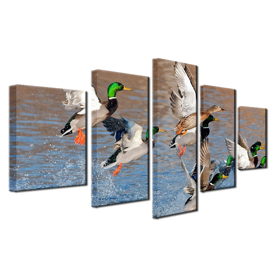 

Modular Canvas HD Prints Wall Art Pictures Framework 5 Pieces Mallard Ducks Rising From Water Painting Living Room Decor Poster