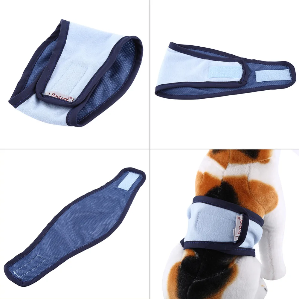 Домашняя собака кобель штаны санитарное белье милые гигиенические короткие