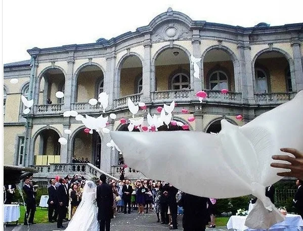 

Free shipping 100 stks / party white bio pigeon doves bird helium balloons wedding / party event decorations