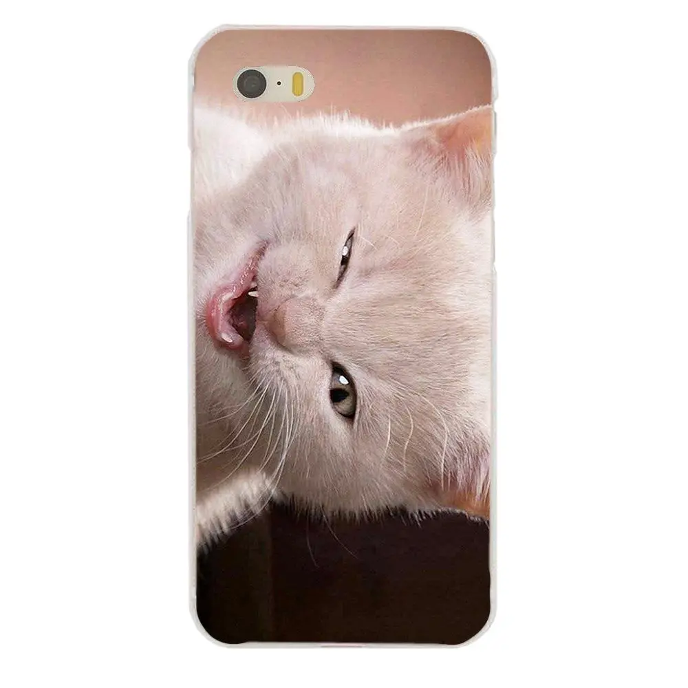 Smile Cat хит продаж дизайнерский чехол для Galaxy A3 A5 A7 On5 On7 2015 2016 2017 Grand Alpha G850 Core2 Prime S2 I9082
