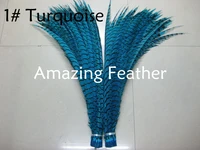 24pcs 30 35inch 80 90cm turquoise dyed pheasant tail featherlady amherst tailspheasant feather