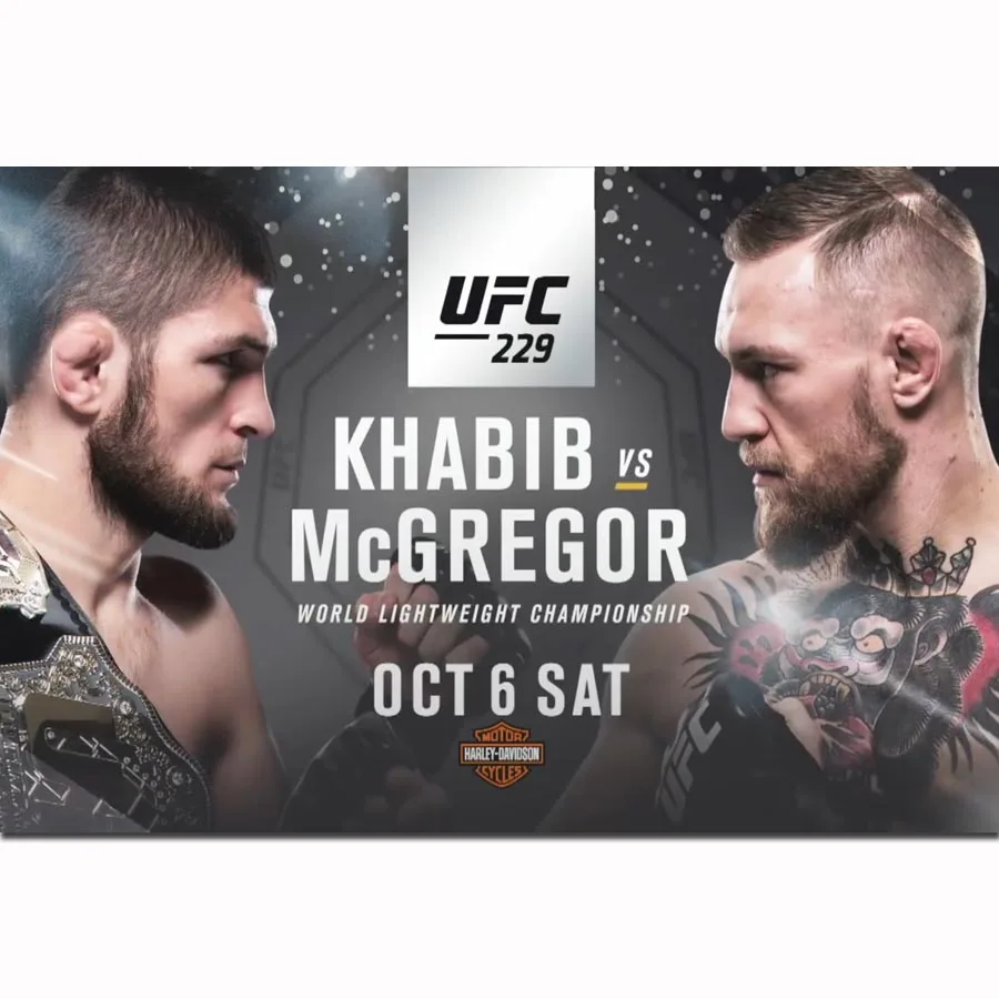 FX1440 Хабиб нурмагомедов против Конора Макгрегора Горячая UFC 229 борьба события плакат Искусство Шелковый светильник холст домашний декор с печатью - Цвет: Бургундия