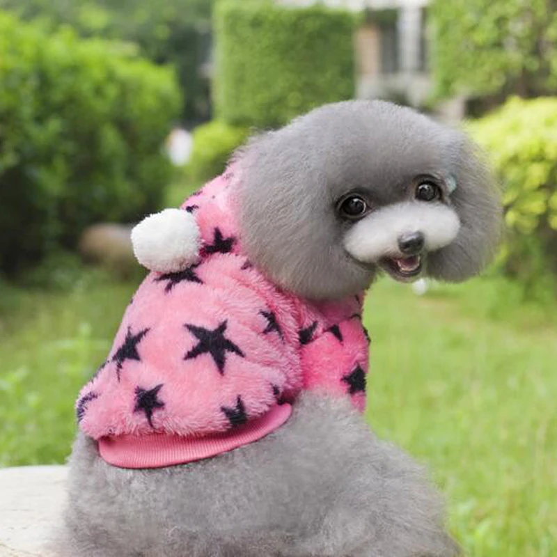 Осень зима теплые Pet Одежда с принтом в виде собак модный дизайн собаки из