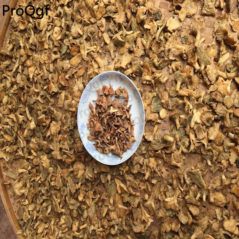 Prodgf 100 gram набор Ramaria botrytoides Lactarius deliciosus