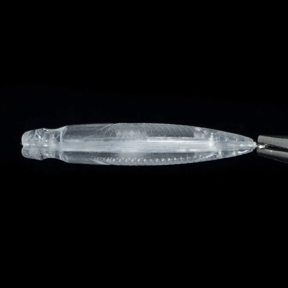 10 шт. пустая жесткая приманка обратного отсчета 43 мм 1 5 г Topwater Popper Неокрашенная