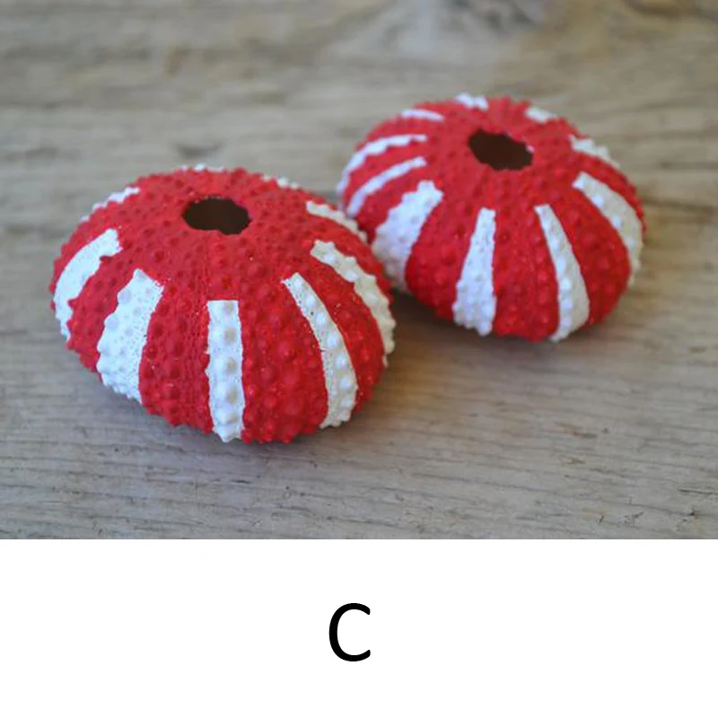 Бесплатная доставка (10 шт./лот) окрашенная морская урна натуральная ракушка пляж