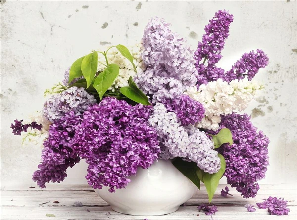 Новый DIY 5D мозаика Вышивка с кристаллами комплекты цветок сирени полный смолы