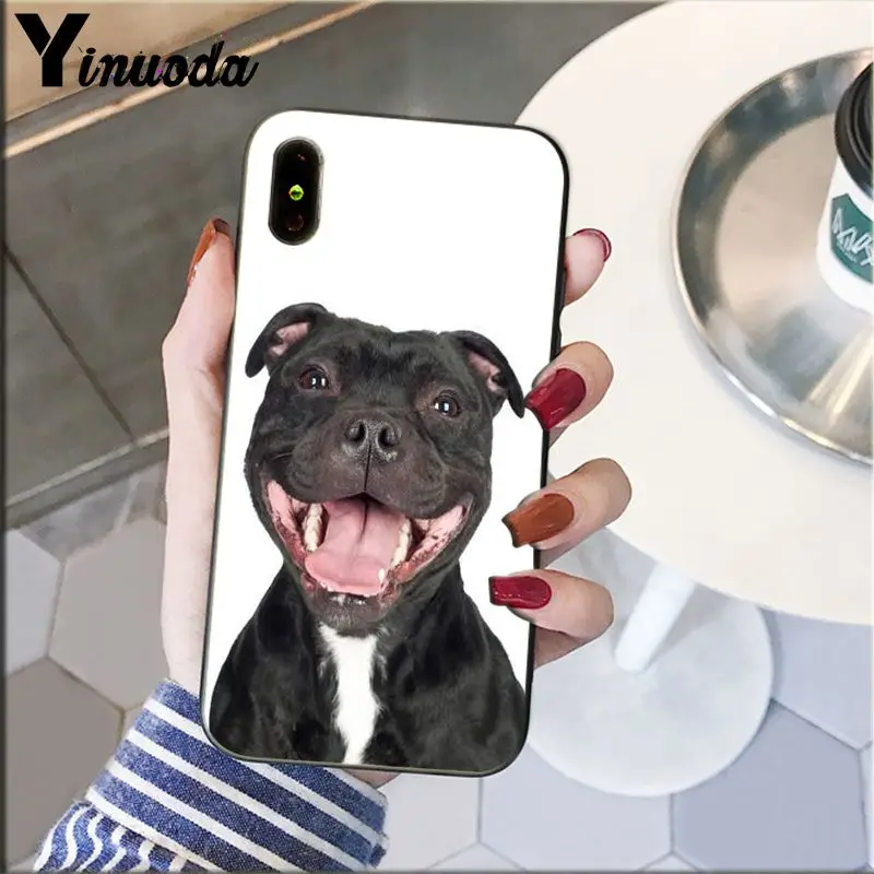 A12 Yinuoda Pit Bull прекрасная комнатная собачка Pitbull TPU Мягкий силиконовый чехол для телефона iPhone 5 5Sx 6 7plus 8 8Plus X XS MAX XR - Цвет: A12