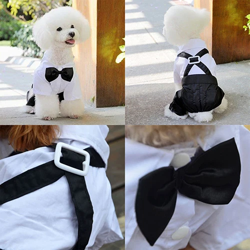 2016 Hot item! Pet Dog Cat Clothes Prince Tuxedo Bow Tie Suit Puppy Costume Jumpsuit Coat S-XXL 456fwr32 | Дом и сад