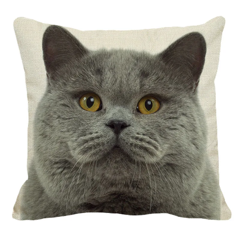 XUNYU Cute British Shorthair Cat Linen Pillowcase Sofa Decorative Pillow Cover Animal Pattern Square Cushion 45X45cm AC011 |