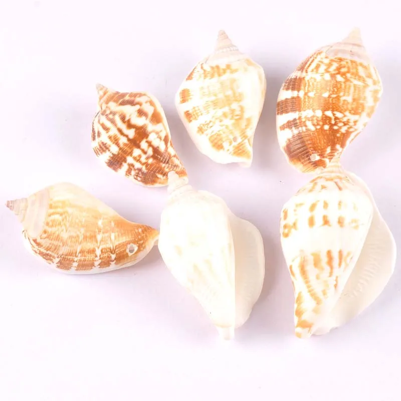 2 шт. натуральные спиральные ракушки для скрапбукинга Подвески каплевидные