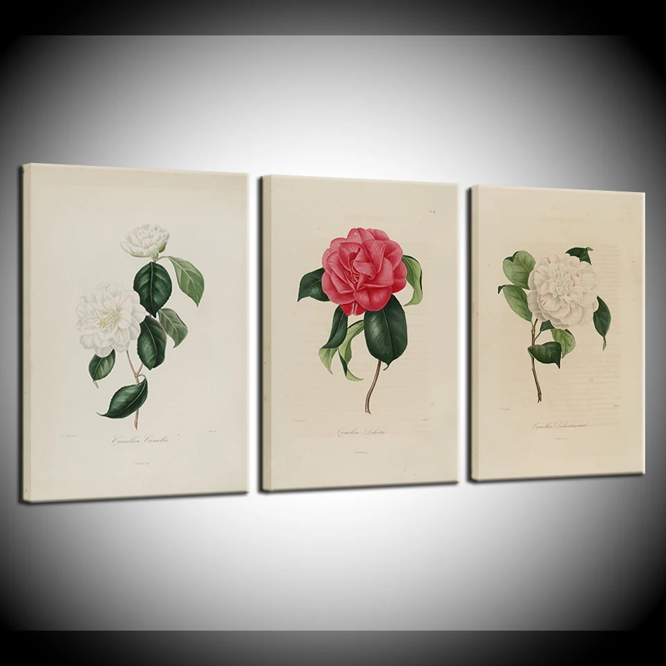

3 panel HD Canvas Painting Nordic modern artwork Camellia flower Wall Art Modular Wallpapers Poster Print living room Home Decor