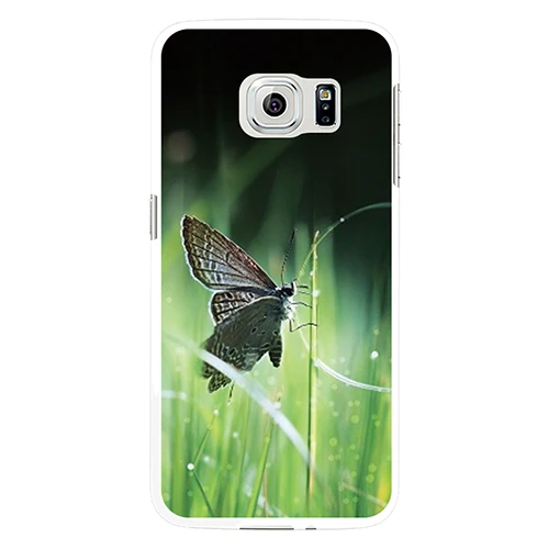 Природа насекомых бабочка чехол для Samsung S4 S5 S7 край|cover for samsung s4|case covercover |