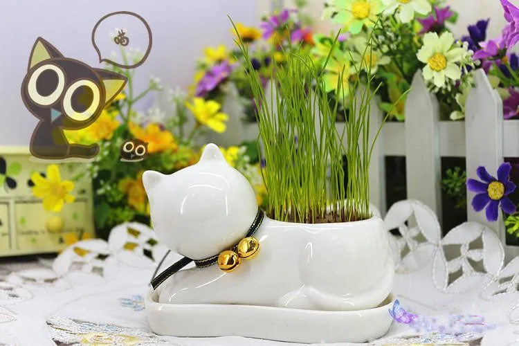 2017 мода милый отдел животных свежие керамические горшки мини суккуленты в горшке