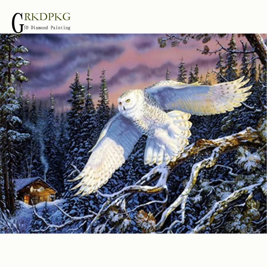 

Алмазная 5D мозаика «сделай сам», живопись с мотивом снега в виде совы, полноразмерная/круглая, вышивка крестиком, свадебное украшение