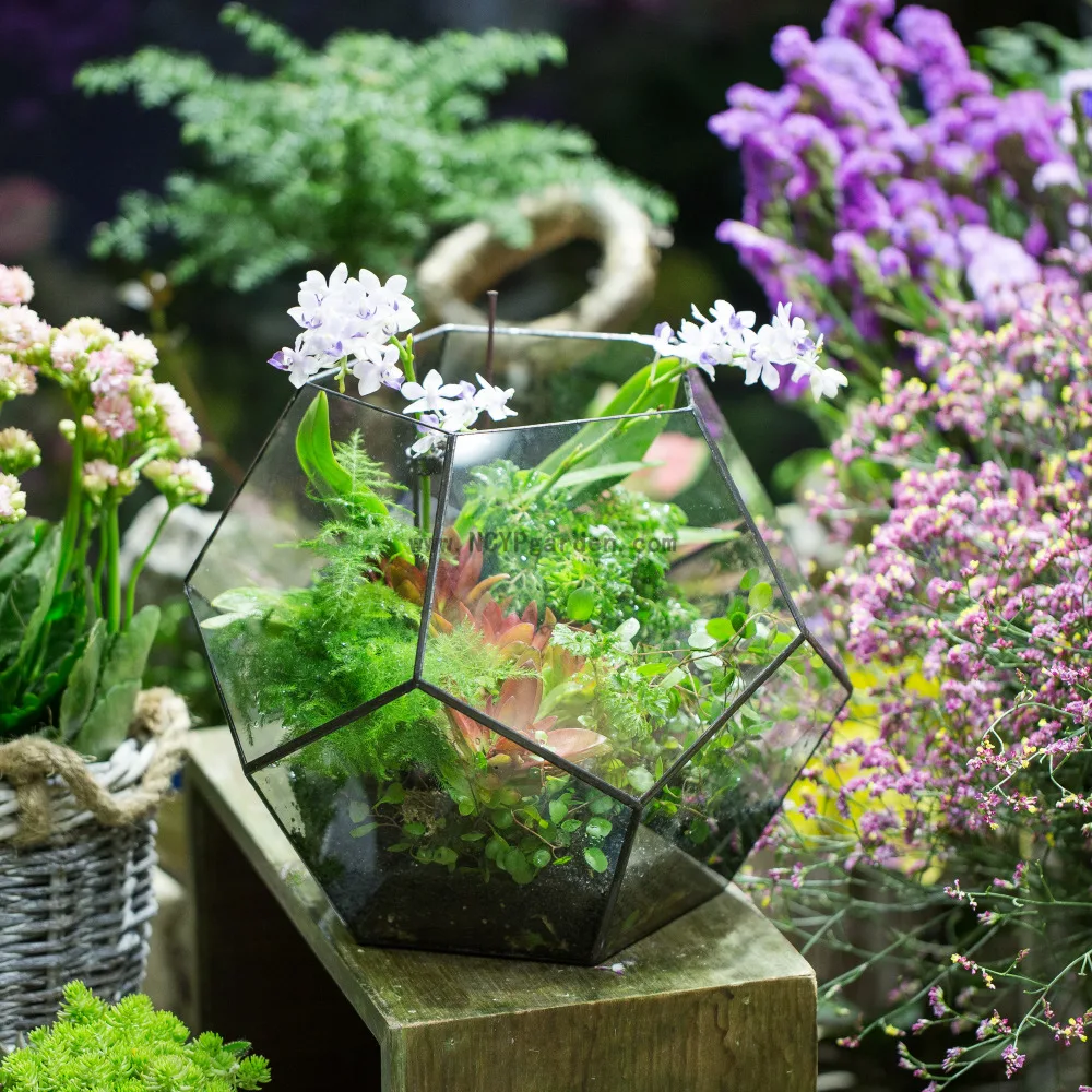 NCYP современный Пентагон стеклянный цветочный горшок шар прозрачное стекло