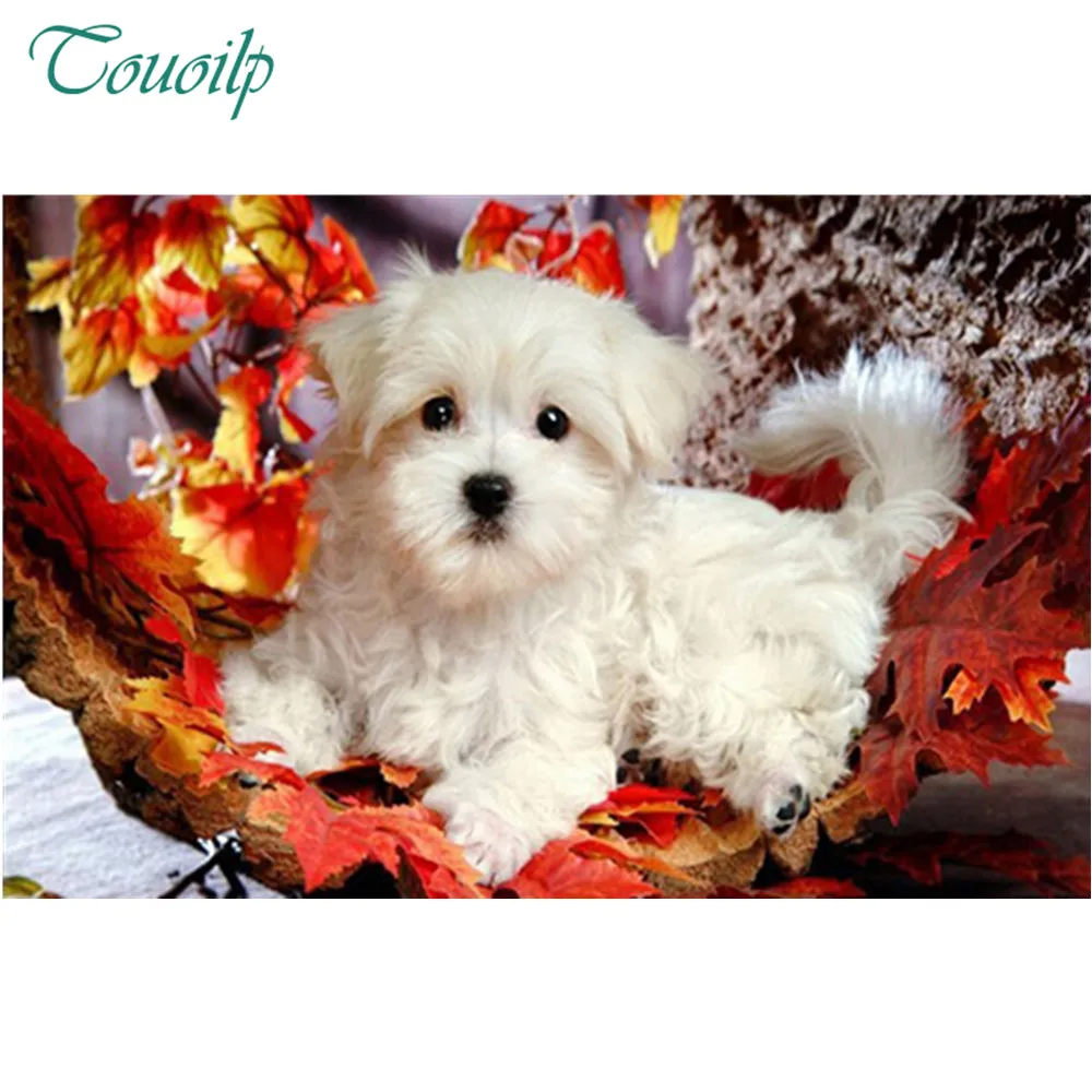 Алмазная мозаика полная квадратная вышивка Чихуахуа собака &quotАлмазная