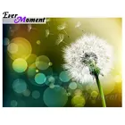 Алмазная вышивка с одуванчиками Ever point, вышивка крестиком, алмазная вышивка ручной работы стразы, Декор для дома, S2F1439