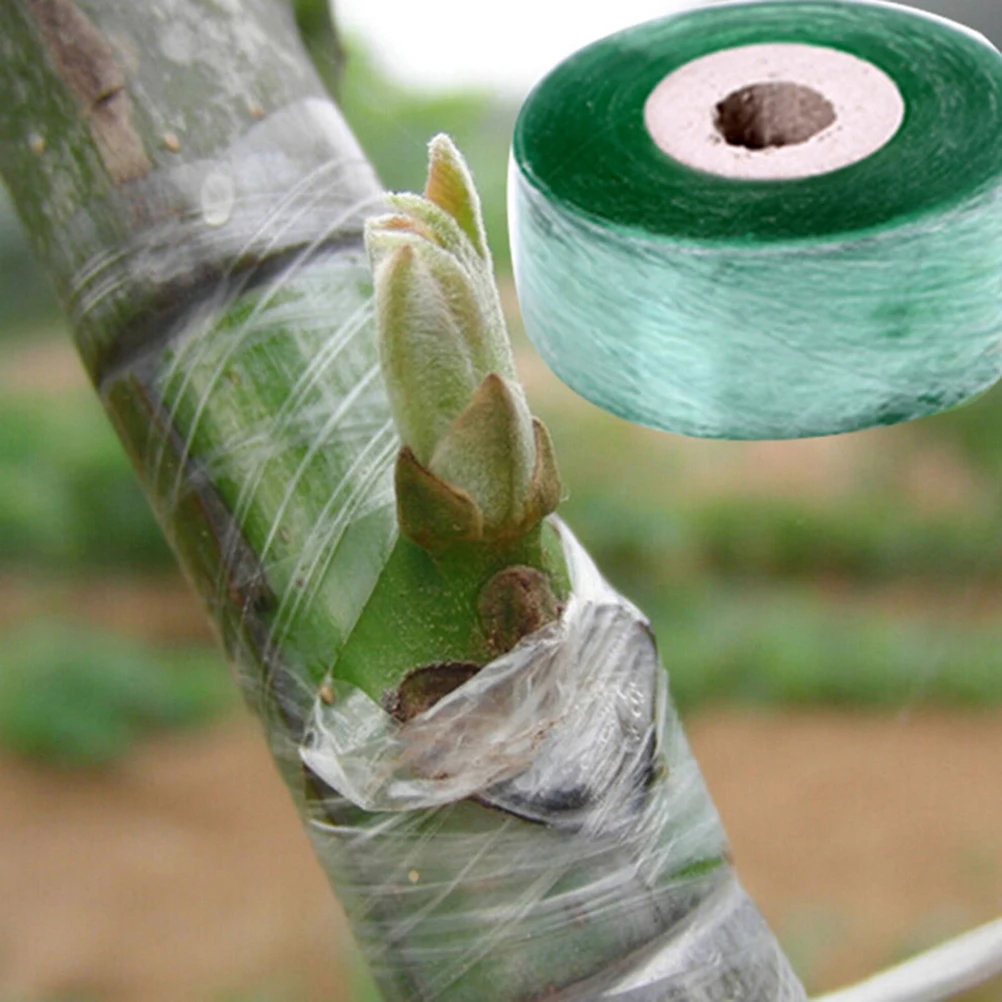 

Plants Tools Nursery Grafting Tape Stretchable Self-adhesive Garden Flower Vegetable Grafting Tapes Supplies 1Roll 2CM x 100M