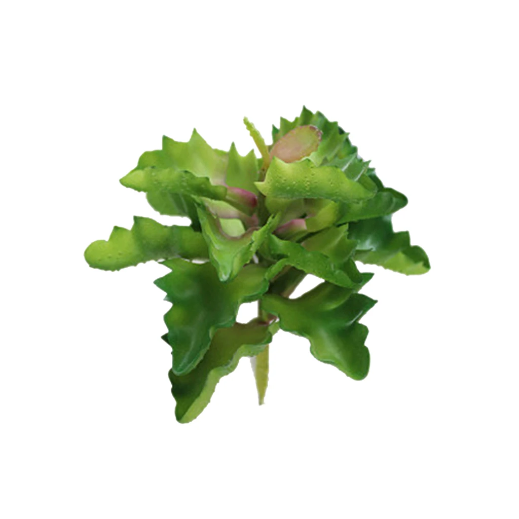 Реалистичный Sedum искусственный суккулент букет фруктов большой лист декор из