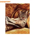 Картина по номерам CHENISTORY в раме с изображением кота, абстрактная Современная Настенная живопись маслом ручной работы для украшения дома 60 х75 см
