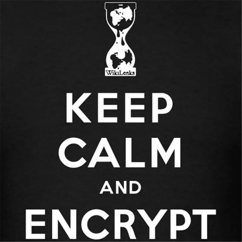 Футболка с принтом Hipster женская круглым вырезом Wikileaks сохранять спокойствие и
