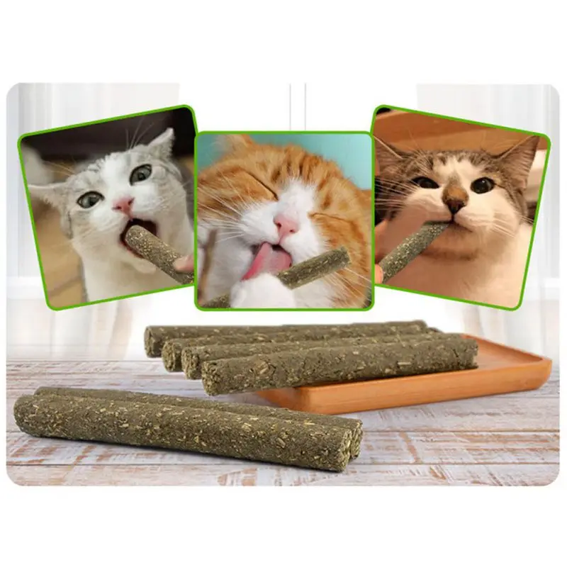 Товары для домашних животных Catnip игрушка кошка мята молярный бар ряд волос мяч интерактивная игрушка зубочистки витамин дополнение