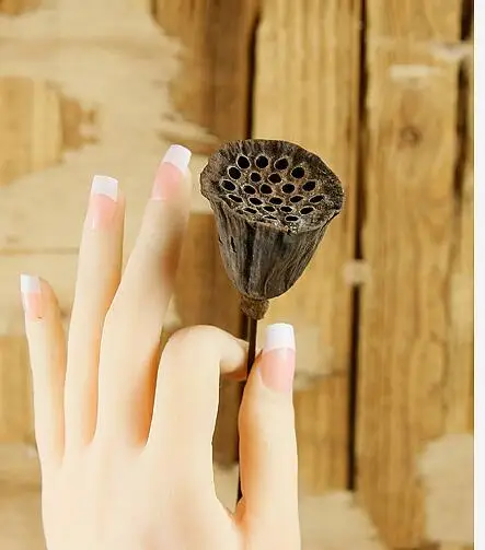 10 шт. 55 см мини сухой лотоса букеты сушеные Моделирование цветы Гостиная