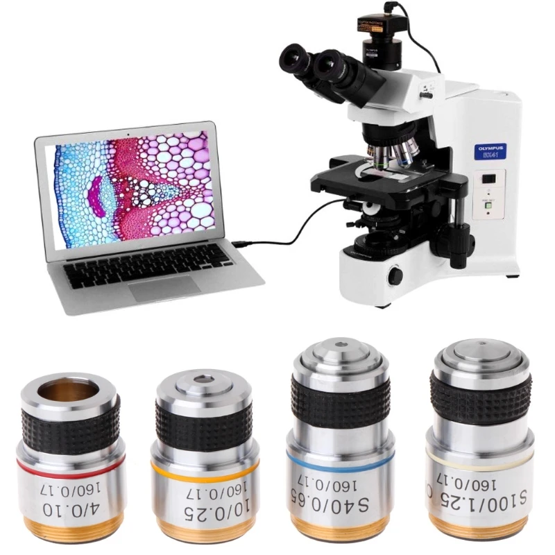 lente acromática 160/0.17 de los objetivos del microscopio biológico 100X 185 Microscopio biológico