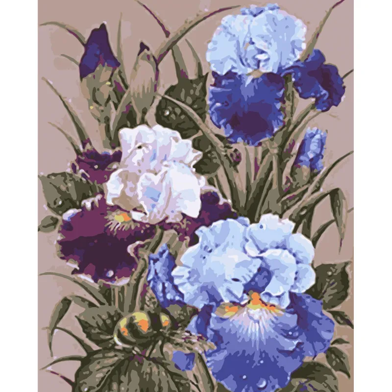 Painting By Numbers DIY Dropshipping 40x50 50x65cm Bee and beautiful phalaenop Flower Canvas Wedding Decoration Art picture Gift