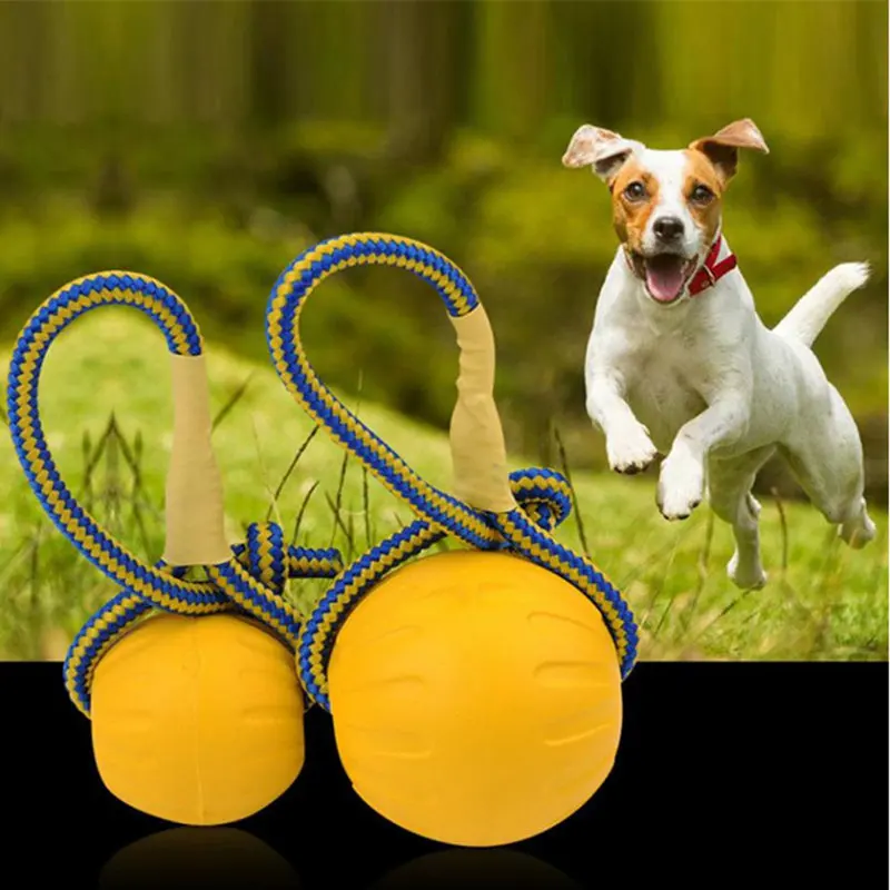 

2019 Pet Dog Training Toy Ball Indestructible Solid Rubber Balls Chew Play Fetch Bite Toy with Carrier Rope Bite Resistant