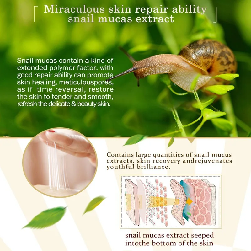 

Snail Repair Facial Day Cream Aging Aniti Oil-Control Face Cream Anti Wrinkle Shrink Pores Moisturizing Lifting Skin Care