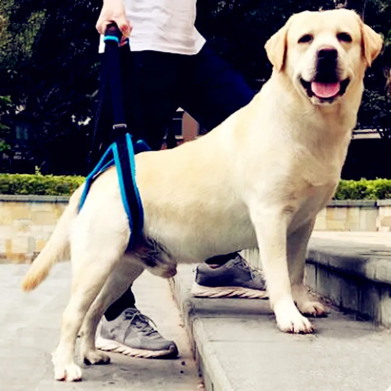 

2019 Dog Lift Harness for Back Legs Pet Support Sling Help Weak Legs Stand Up