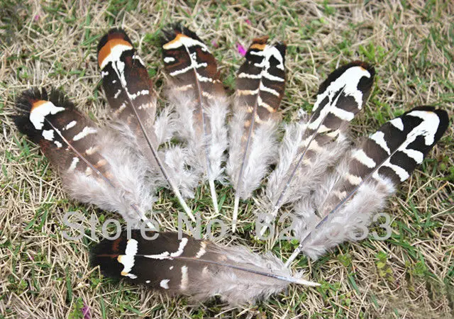 

100Pcs/Lot 6-10cm Nature Brown&Yellow REEVES VENERY PHEASANT SMALL WINGS,QUILL FEATHERS,REEVES SMALL QUILLS