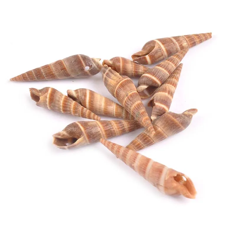 20 шт. натуральные коричневые ракушки Сделай Сам Скрапбукинг одно отверстие