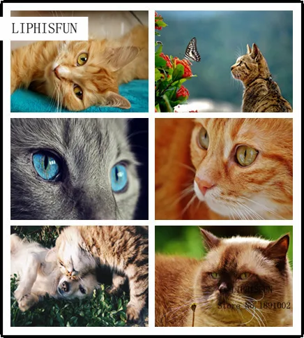 

5D Diy Diamond Embroidery Lover Cats Diamond Painting Cross Stitch Full Drill Rhinestone Mosaic Home Decoration