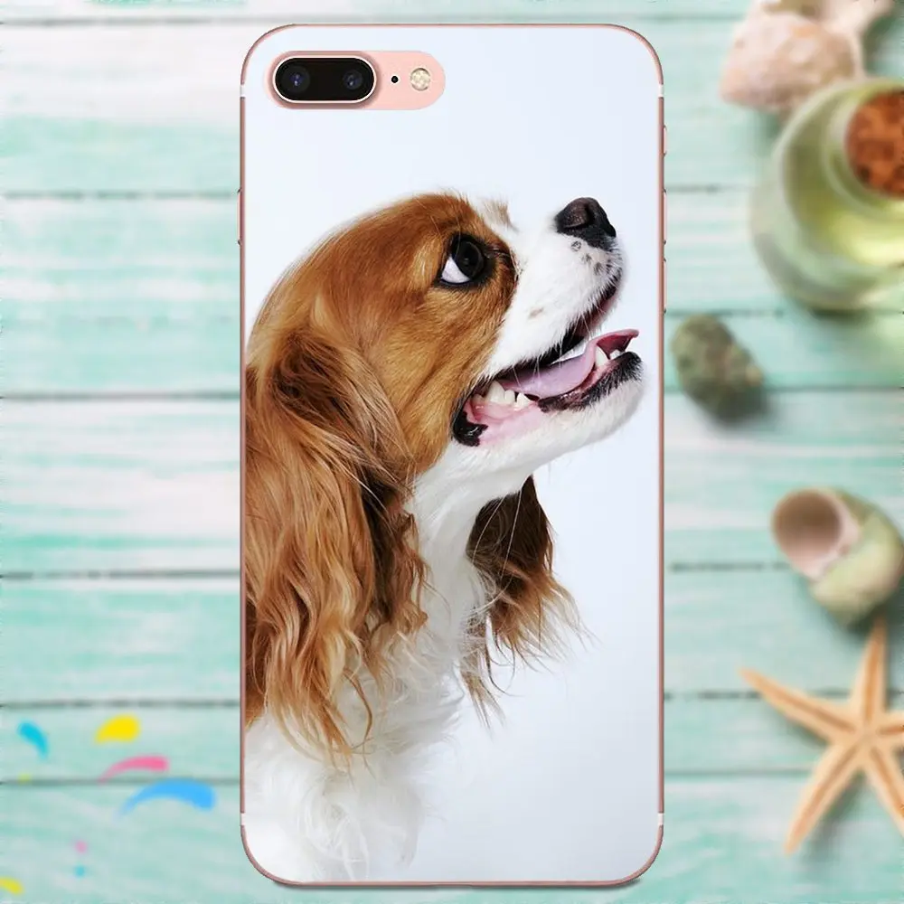 Высокое качество чехол для телефона милый кавалер Кинг чарльз спаниель собака