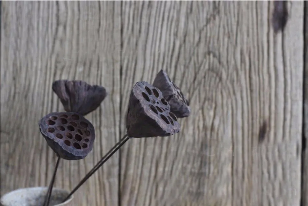 10 шт. лотоса Seedpod сухих цветов для Свадебная вечеринка домой отель украшения DIY