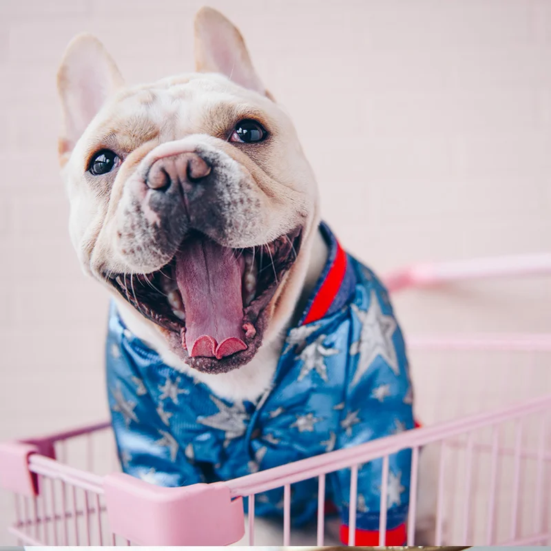 Французская одежда для бульдога собака толстовка роскошный Adidog Теплый Спорт ретро для собак Толстовка с капюшоном Домашние животные одежда для щенков и Собак Мопс Щенок Одежда люкс