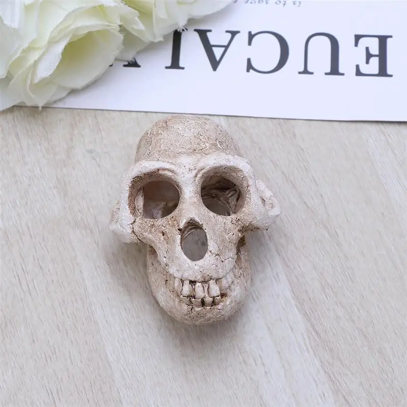 1 шт. декоративный Прохладный нетоксичный аквариум из смолы Террариум