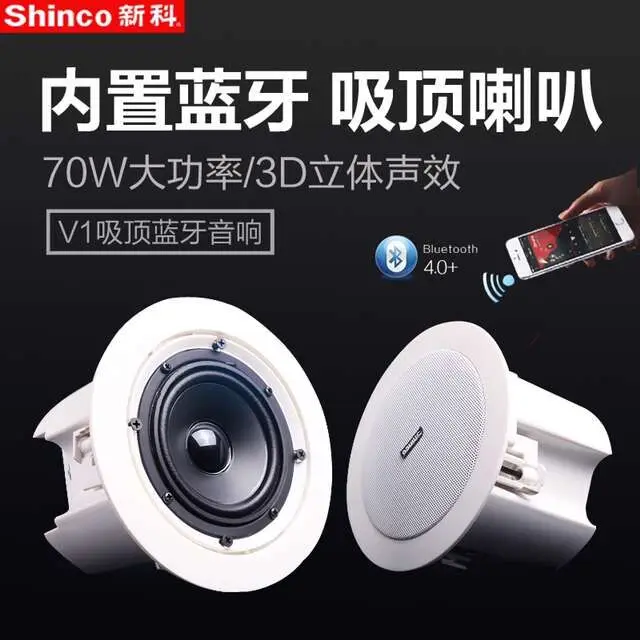Bluetooth активные потолочные колонки Shin co стерео цифровая фотография круглая музыка
